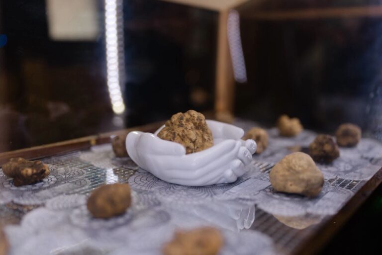 Serrapotamo Prized White Truffle Fair