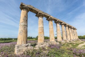 Tavole palatine – foto 2