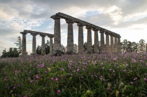 Tavole palatine – foto 1